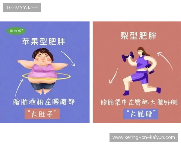 上半身肥胖与下半身肥胖训练重点差别